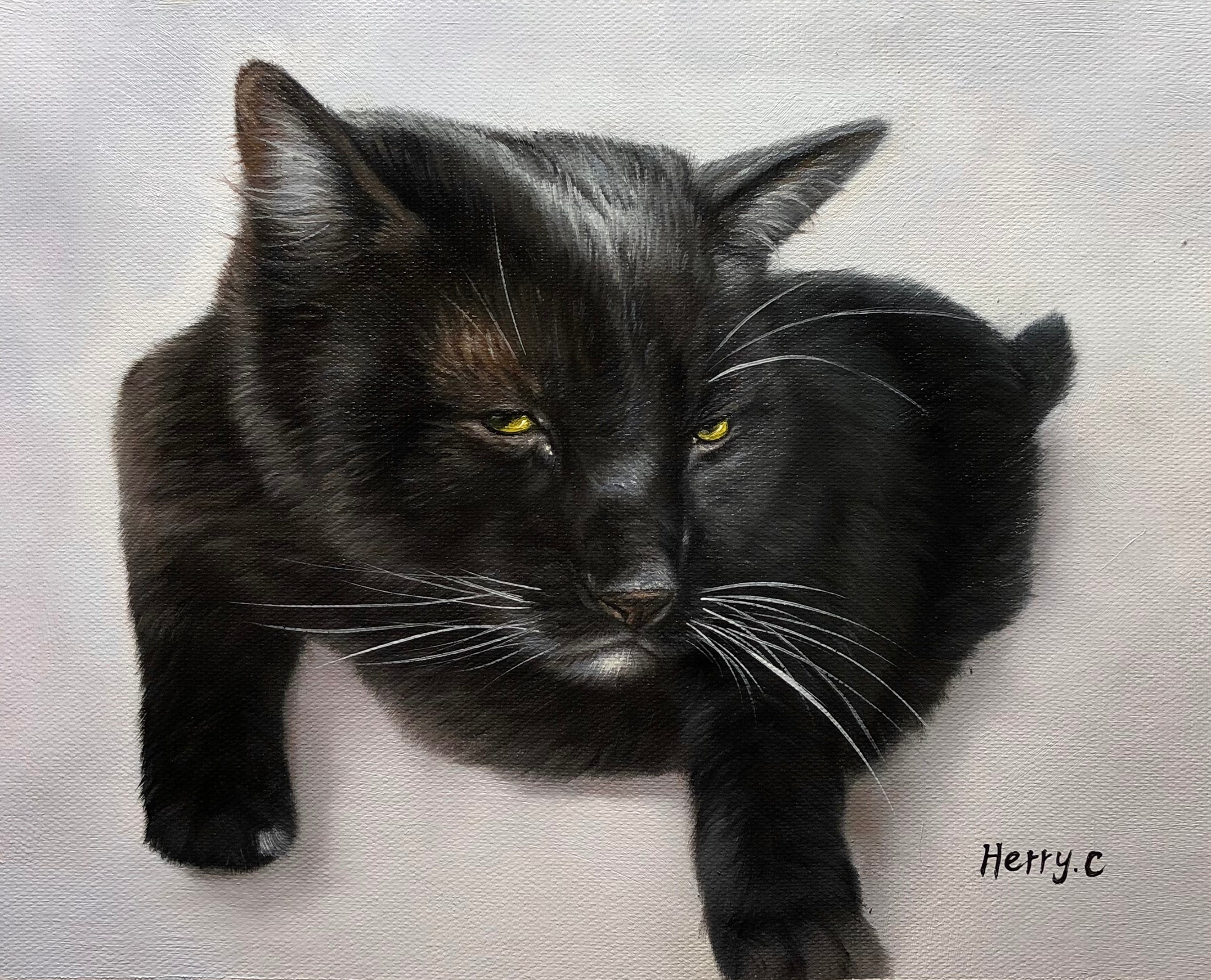 paintru-oil-custom-cat-portrait-painting