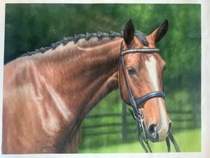 paintru-custom-horse-painting