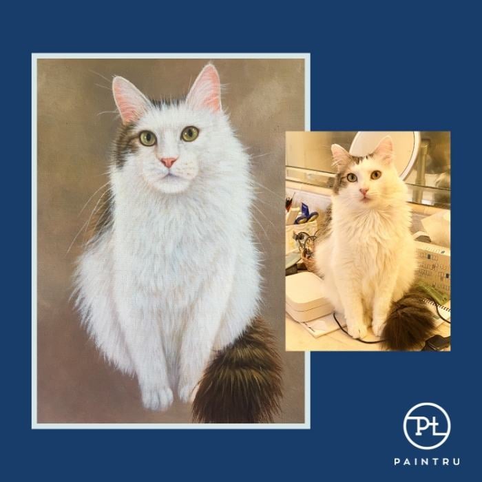 paintru-custom-pet-portrait-painting-white-fluffy-cat-painting-oil