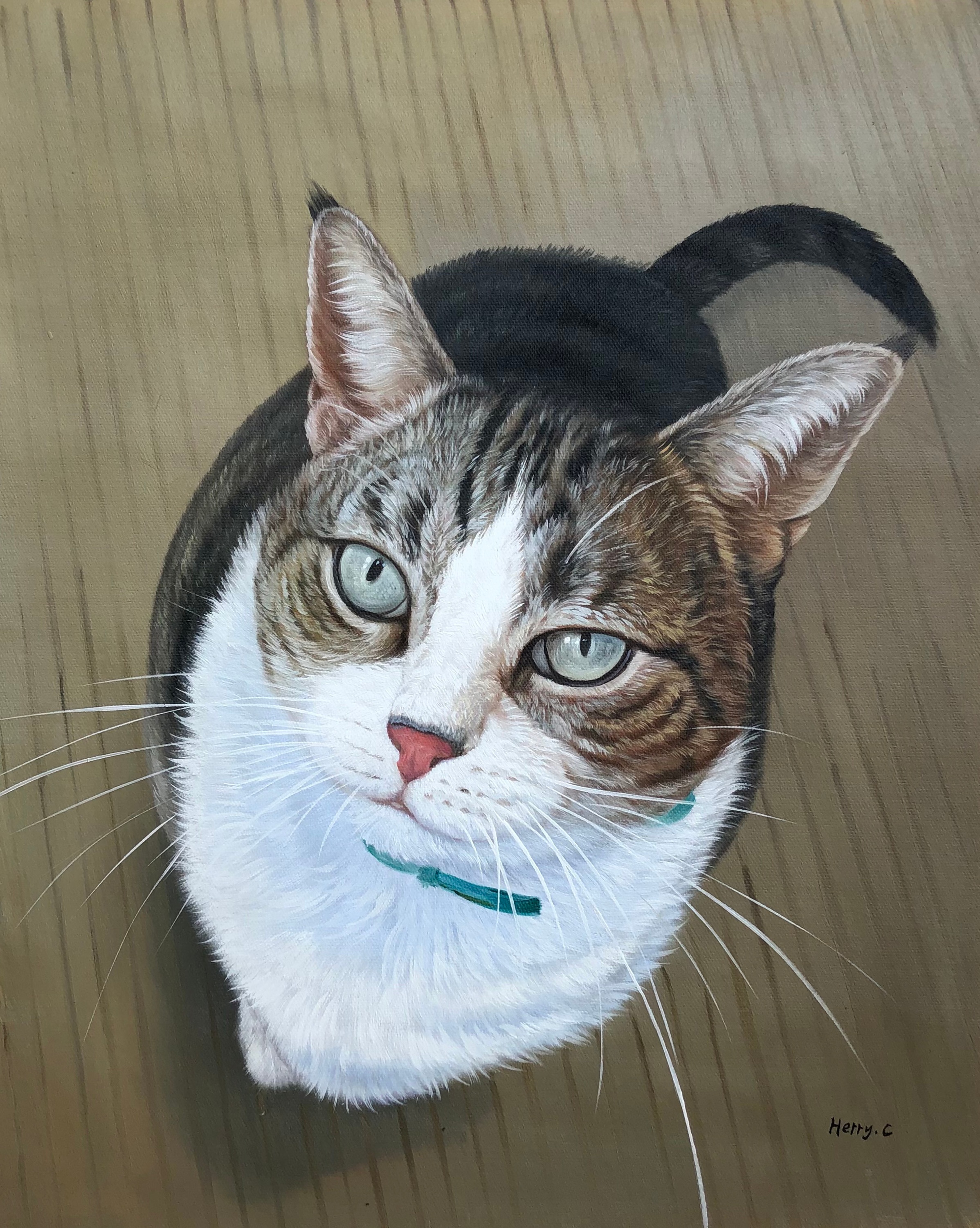 paintru-oil-custom-cat-portrait-painting